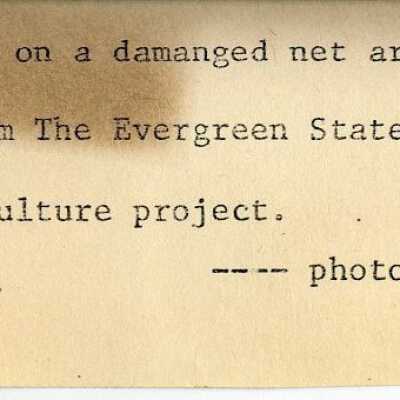 Origformat: Photographic