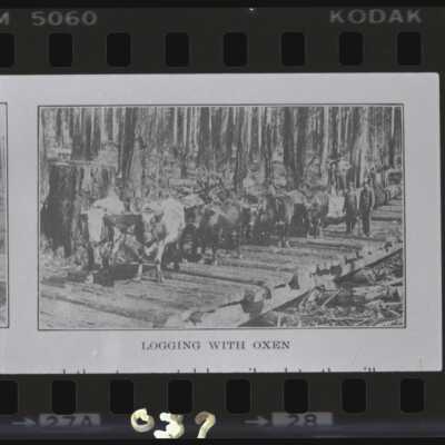Logging With Oxen