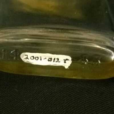 Bottle
