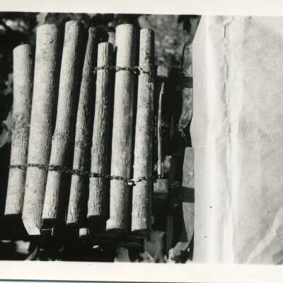 log model