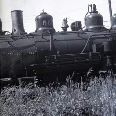 Olympia: Origformat: Negative; Resolution: 1200 dpi