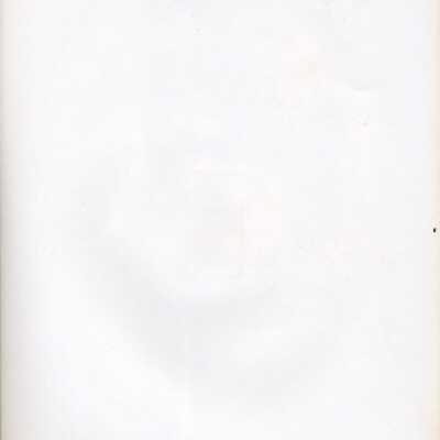 Origformat: Photographic