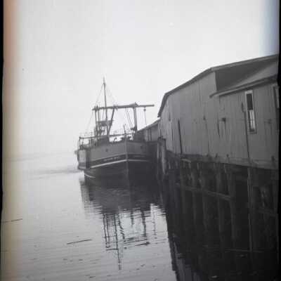 Olympia: Origformat: Negative; Resolution: 1200 dpi