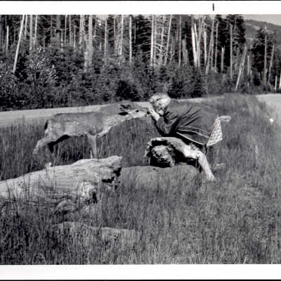 Woman Feeding Deer