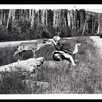 Woman Feeding Deer, unknown date: Frame 12