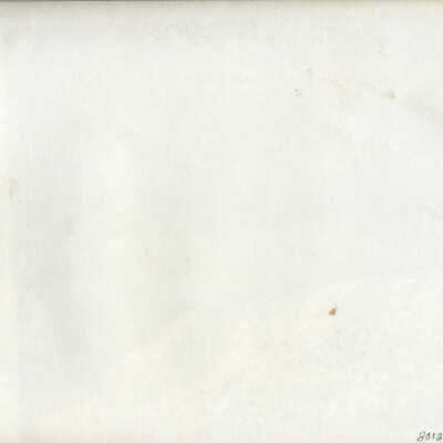 Origformat: Photographic