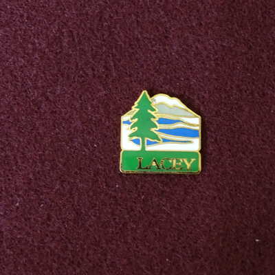 Pin, Insignia