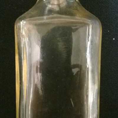 Copyright: Lacey Museum; Origformat: Artifact