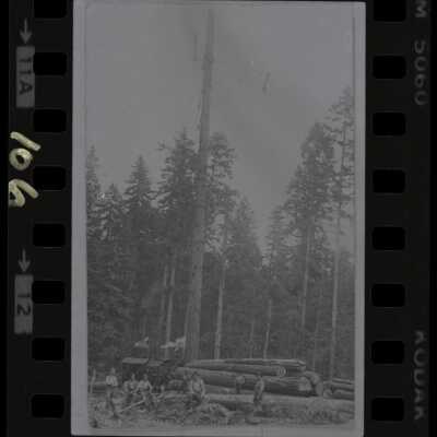 Logging in Lacey: Copyright: Lacey Museum; Origsize: 1 x 1 1/2"; Origformat: Negative; Resolution: 3200 dpi; Negno: 106