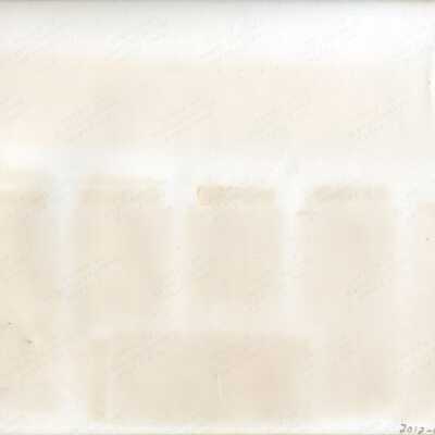 Origformat: Photographic