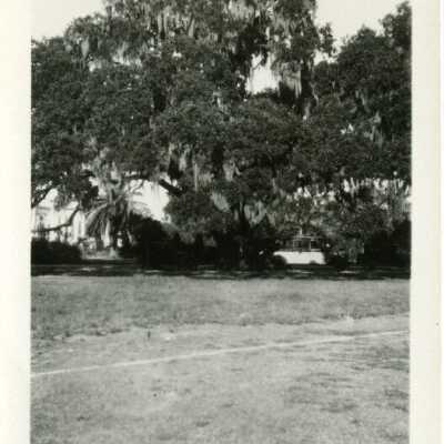 New Orleans: Origformat: Photographic