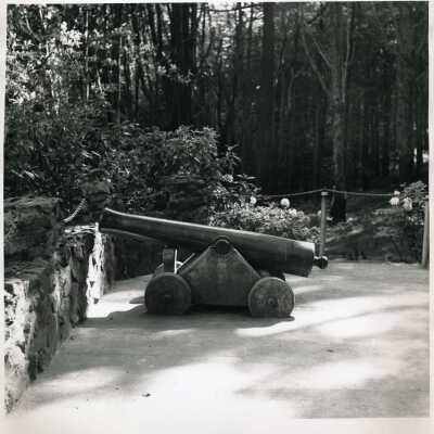 Cannon