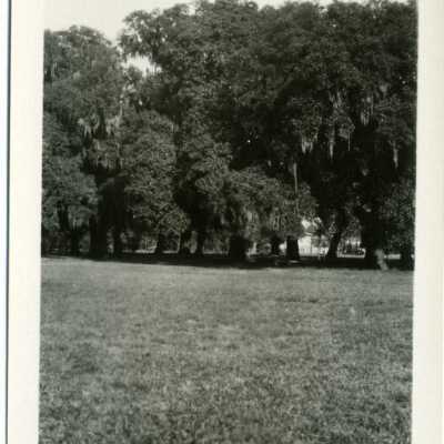 New Orleans: Origformat: Photographic