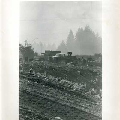 Landfill: Origformat: Photographic