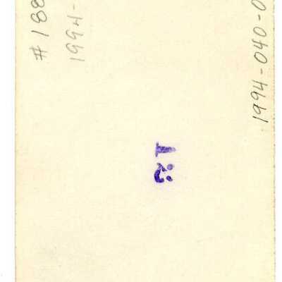 Origformat: Photographic; Resolution: 200 dpi; Negno: 1881