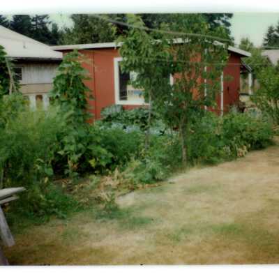 Holt garden and shack.