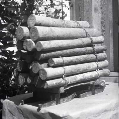 log model