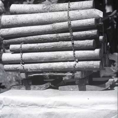 log model