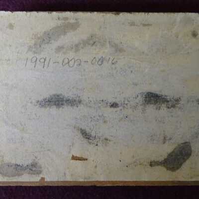 Copyright: Lacey Museum; Origformat: Artifact