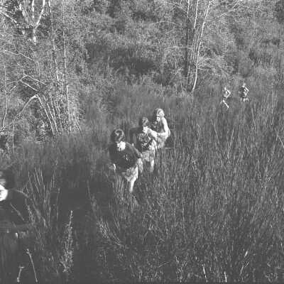 Cross-Country Race, 1973