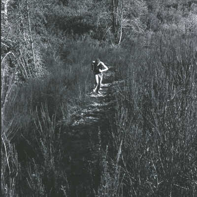 Cross-Country Race, 1973: Frame 24