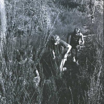 Cross-Country Race, 1973: Frame 25