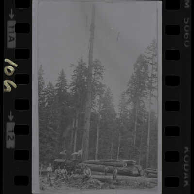 Logging in Lacey at Saint Martin's