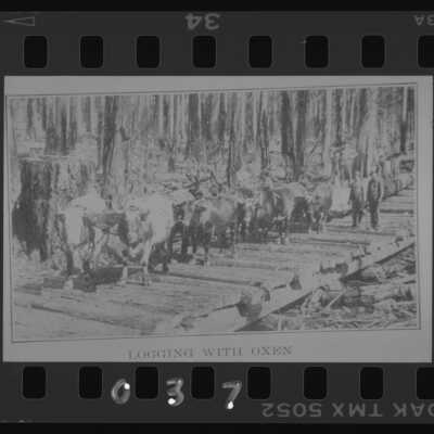 Logging With Oxen