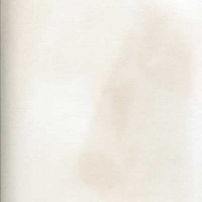 Origformat: Photographic