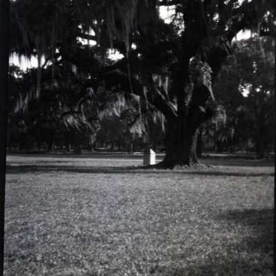 New Orleans: Origformat: Negative; Resolution: 1200 dpi