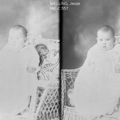 WELLING, Jesse