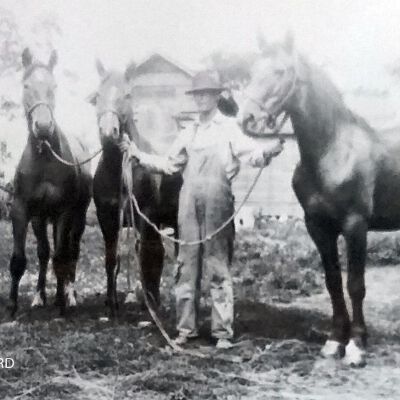 HOWARD, William A.