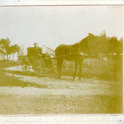 Horse and Buggy