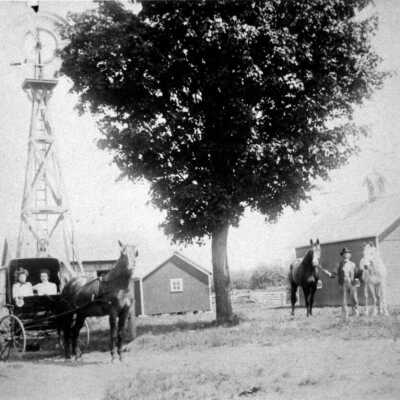 Cook Farm