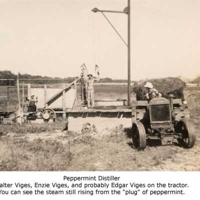 Peppermint Distiller