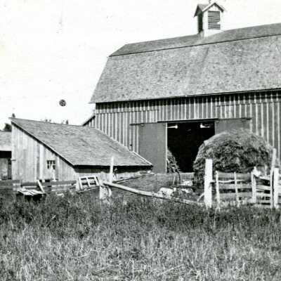 Farm - Unidentified