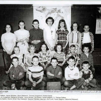 Wildcat School