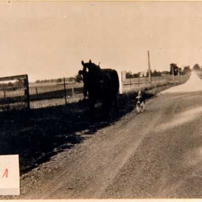 Cressman Farm