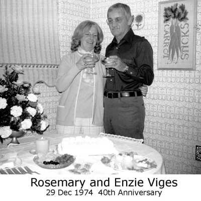 Viges Family
