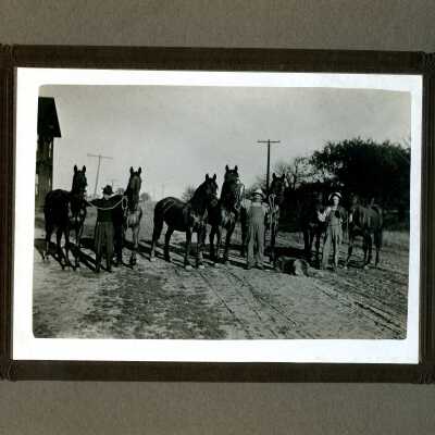 Work horses