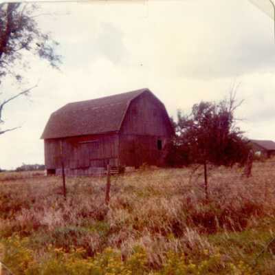 Dew farm