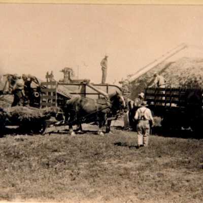 Davies Farm