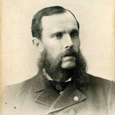 Daboll