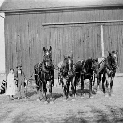 Staub Farm