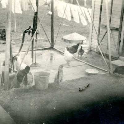 L-50