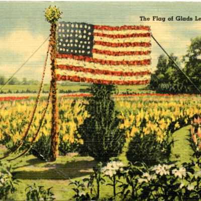 Gladiola Festival