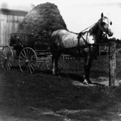 Simmons-Pike Farm (probably)