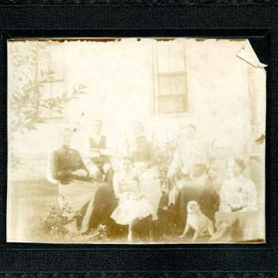 Unidentified family