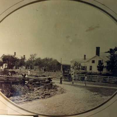 Farm Scene
