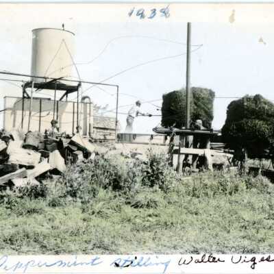 Viges Farm